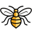 Spell Bee icon