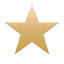 Luminary icon