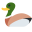 Birdie Game icon