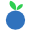 BlueBerry icon