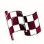 Flagdoku icon