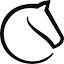 lichess.org Daily Puzzle icon