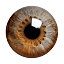 Name The ___ icon