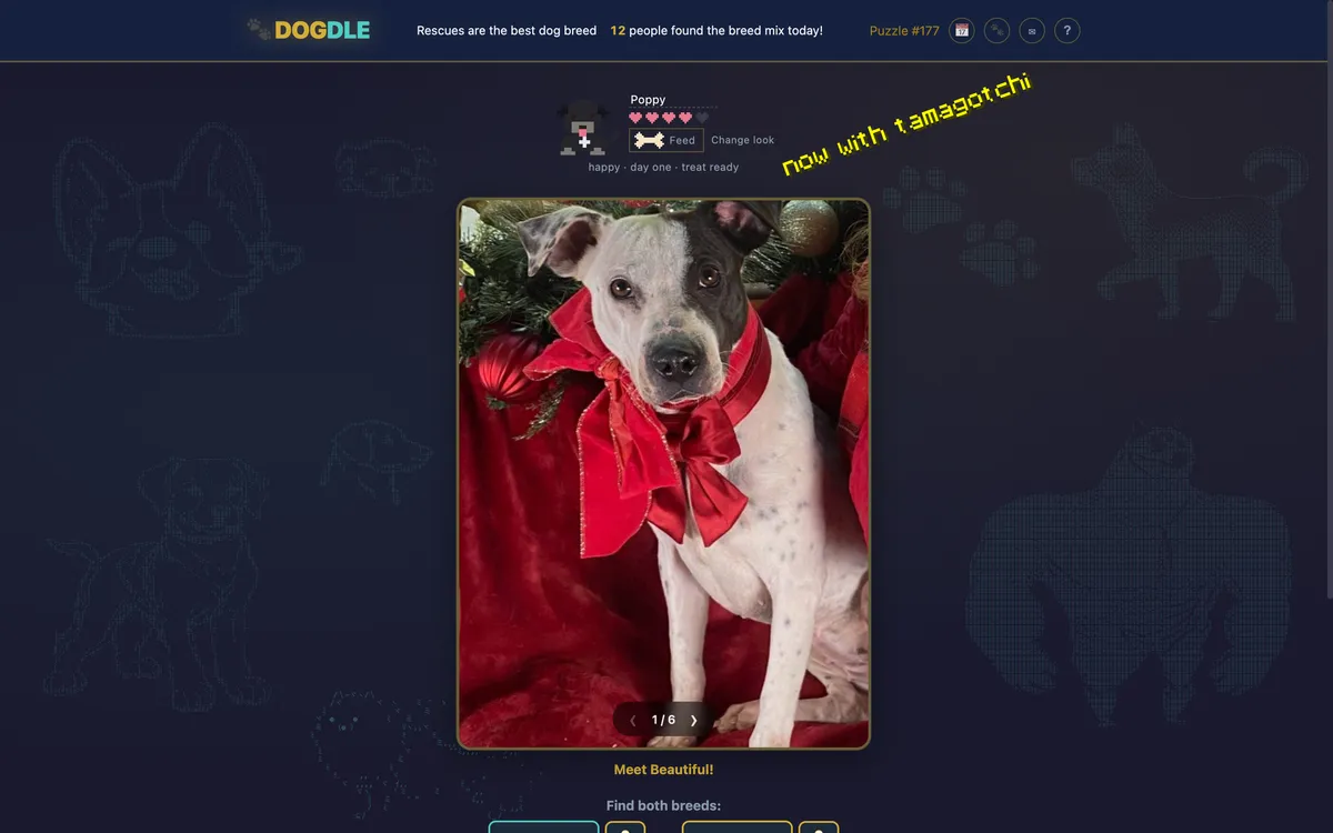 DOGDLE game board before the first move