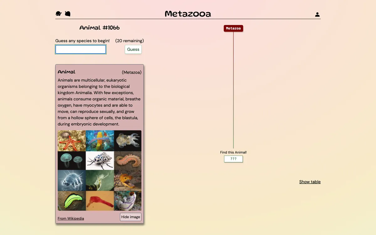 Metazooa game board before the first move